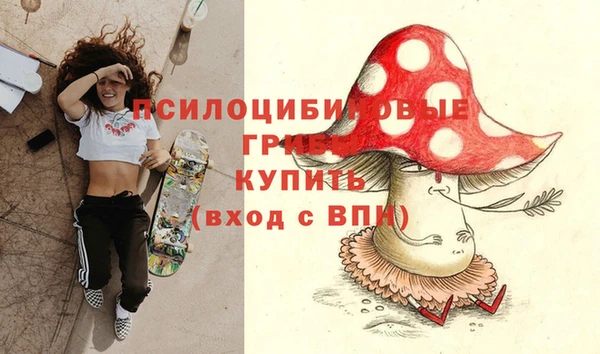 метадон Чердынь